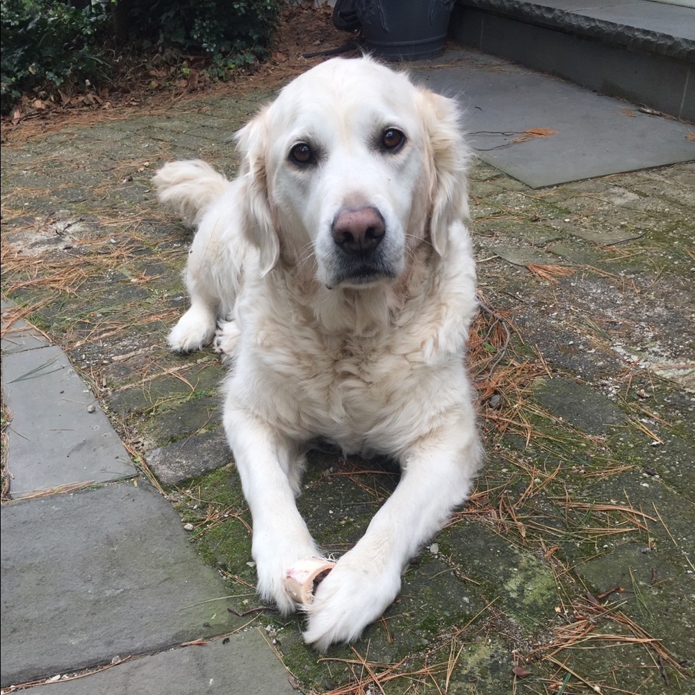 Meet your Posher, Jen